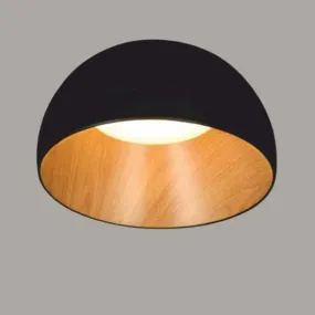 002-C-1 Ceiling Light