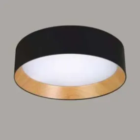 002-C-3 Ceiling Light